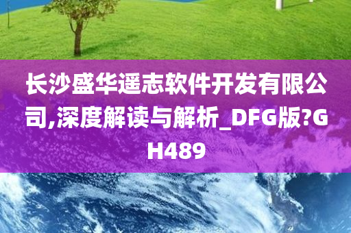 长沙盛华遥志软件开发有限公司,深度解读与解析_DFG版?GH489