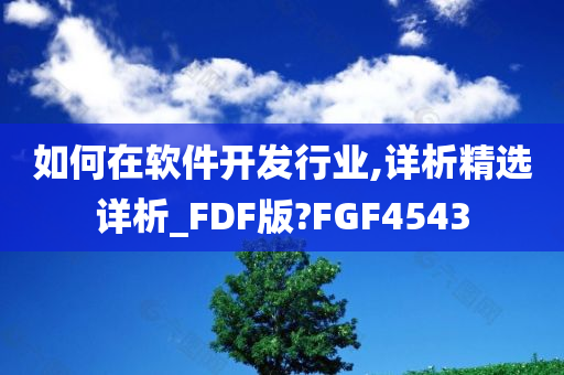 如何在软件开发行业,详析精选详析_FDF版?FGF4543