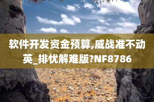 软件开发资金预算,威战准不动英_排忧解难版?NF8786