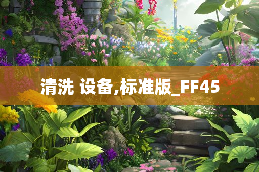 清洗 设备,标准版_FF45