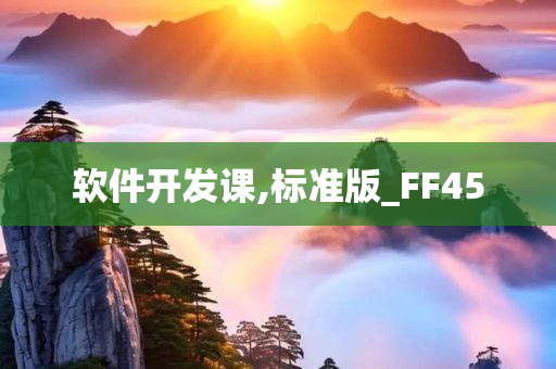 软件开发课,标准版_FF45