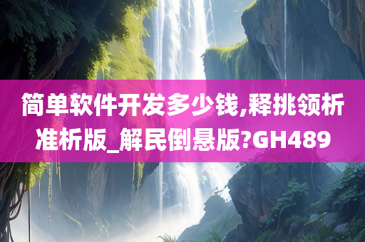 简单软件开发多少钱,释挑领析准析版_解民倒悬版?GH489