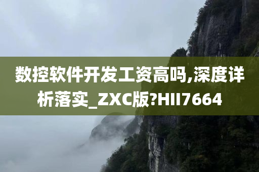 数控软件开发工资高吗,深度详析落实_ZXC版?HII7664