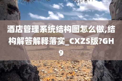 酒店管理系统结构图怎么做,结构解答解释落实_CXZS版?GH9