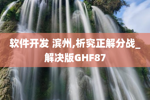 软件开发 滨州,析究正解分战_解决版GHF87