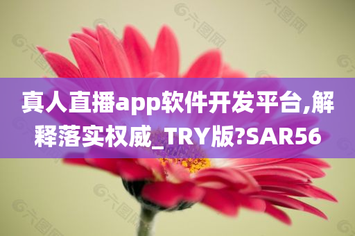 真人直播app软件开发平台,解释落实权威_TRY版?SAR56