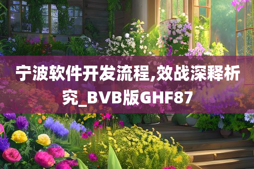 宁波软件开发流程,效战深释析究_BVB版GHF87