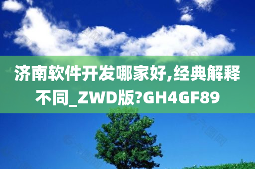 济南软件开发哪家好,经典解释不同_ZWD版?GH4GF89