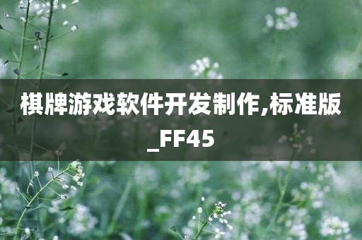 棋牌游戏软件开发制作,标准版_FF45