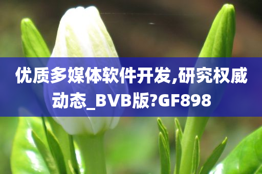 优质多媒体软件开发,研究权威动态_BVB版?GF898