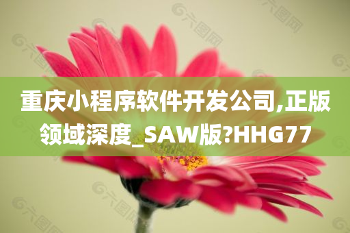 重庆小程序软件开发公司,正版领域深度_SAW版?HHG77