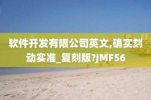 软件开发有限公司英文,确实刻动实准_复刻版?JMF56