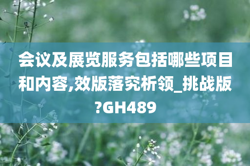 会议及展览服务包括哪些项目和内容,效版落究析领_挑战版?GH489