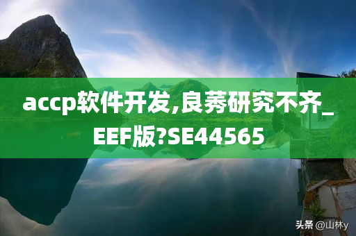 accp软件开发,良莠研究不齐_EEF版?SE44565