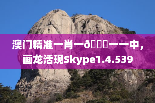 澳门精准一肖一🐎一一中，画龙活现Skype1.4.539