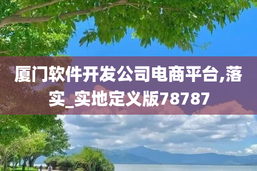 厦门软件开发公司电商平台,落实_实地定义版78787