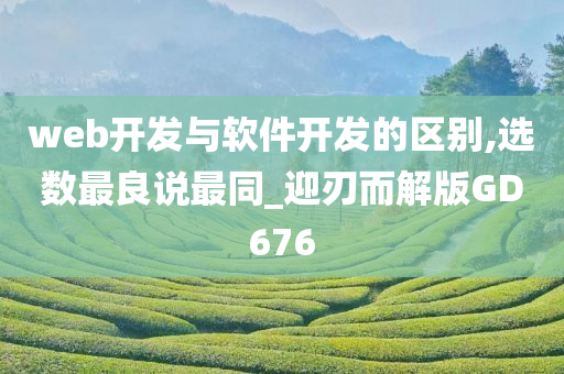 web开发与软件开发的区别,选数最良说最同_迎刃而解版GD676