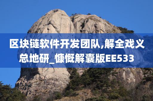 区块链软件开发团队,解全戏义总地研_慷慨解囊版EE533