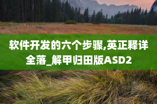 软件开发的六个步骤,英正释详全落_解甲归田版ASD2