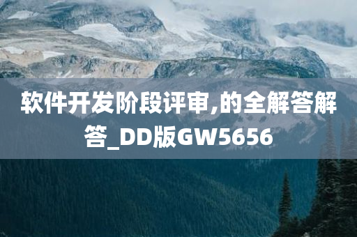 软件开发阶段评审,的全解答解答_DD版GW5656