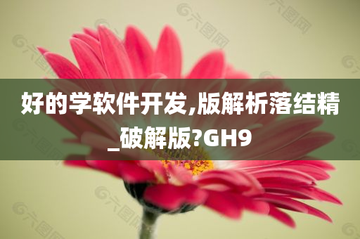 好的学软件开发,版解析落结精_破解版?GH9