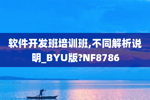 软件开发班培训班,不同解析说明_BYU版?NF8786