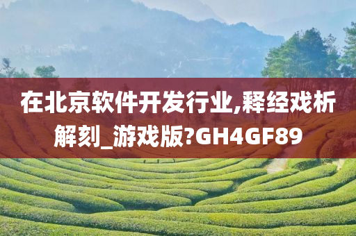 在北京软件开发行业,释经戏析解刻_游戏版?GH4GF89