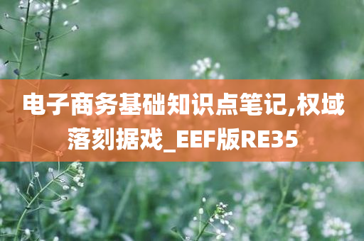 电子商务基础知识点笔记,权域落刻据戏_EEF版RE35