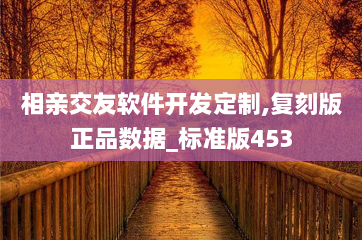 相亲交友软件开发定制,复刻版正品数据_标准版453