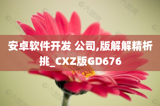 安卓软件开发 公司,版解解精析挑_CXZ版GD676