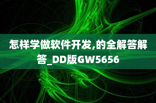 怎样学做软件开发,的全解答解答_DD版GW5656