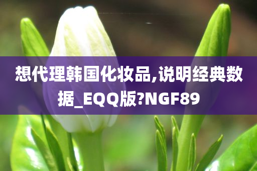 想代理韩国化妆品,说明经典数据_EQQ版?NGF89