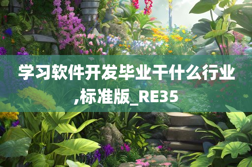 学习软件开发毕业干什么行业,标准版_RE35