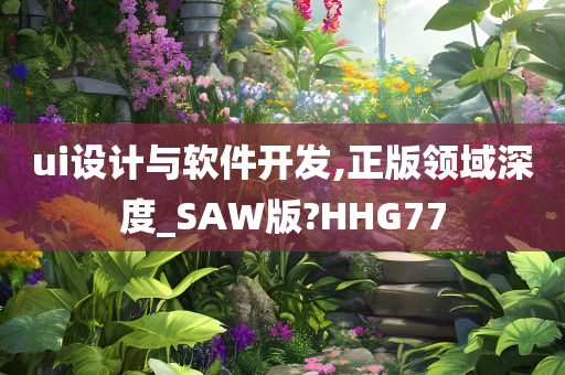 ui设计与软件开发,正版领域深度_SAW版?HHG77