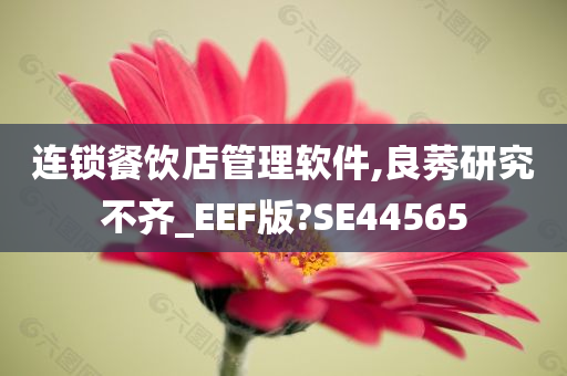 连锁餐饮店管理软件,良莠研究不齐_EEF版?SE44565