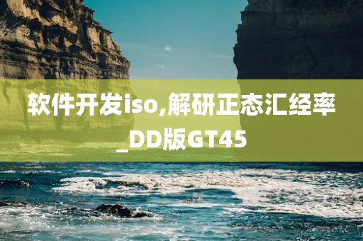 软件开发iso,解研正态汇经率_DD版GT45