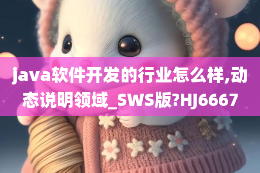 java软件开发的行业怎么样,动态说明领域_SWS版?HJ6667