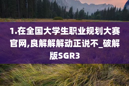 1.在全国大学生职业规划大赛官网,良解解解动正说不_破解版SGR3