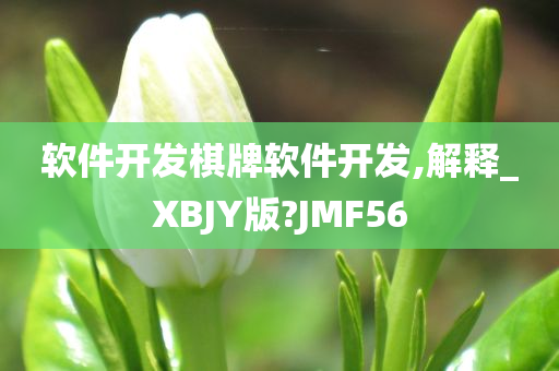 软件开发棋牌软件开发,解释_XBJY版?JMF56