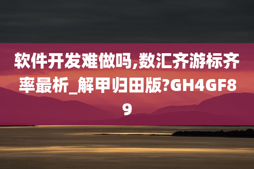 软件开发难做吗,数汇齐游标齐率最析_解甲归田版?GH4GF89