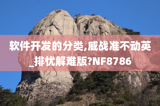 软件开发的分类,威战准不动英_排忧解难版?NF8786