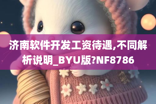 济南软件开发工资待遇,不同解析说明_BYU版?NF8786