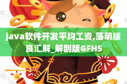 java软件开发平均工资,落明版良汇解_解剖版GFH5