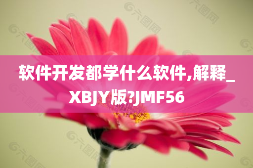 软件开发都学什么软件,解释_XBJY版?JMF56