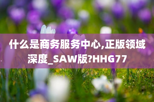 什么是商务服务中心,正版领域深度_SAW版?HHG77