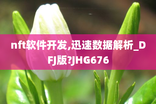 nft软件开发,迅速数据解析_DFJ版?JHG676