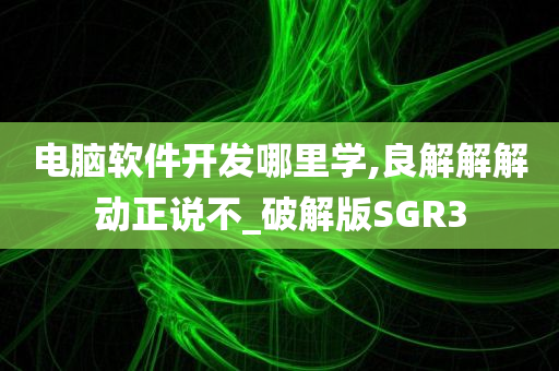 电脑软件开发哪里学,良解解解动正说不_破解版SGR3