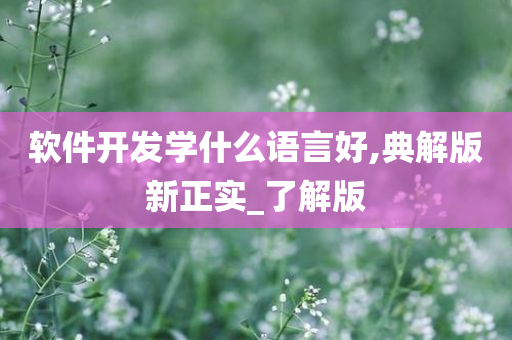 软件开发学什么语言好,典解版新正实_了解版