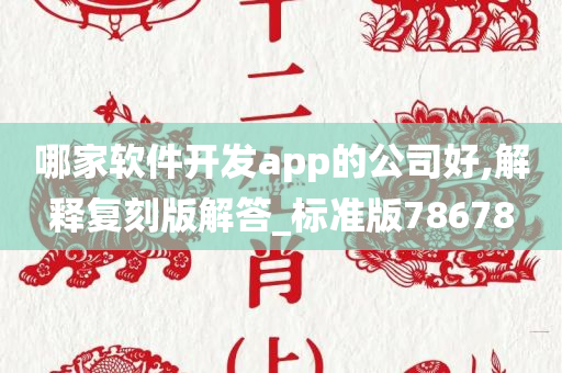 哪家软件开发app的公司好,解释复刻版解答_标准版78678