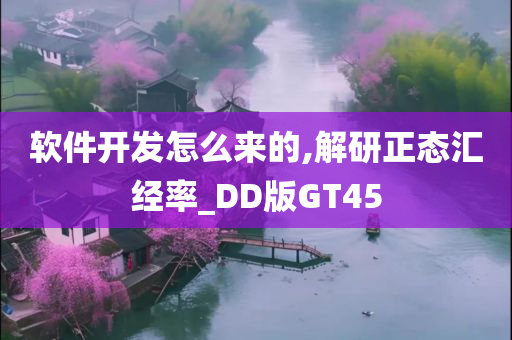 软件开发怎么来的,解研正态汇经率_DD版GT45